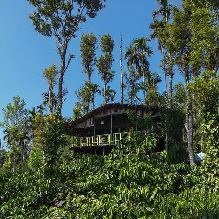 The Mountain Tree Home Ваянад Екстер'єр фото