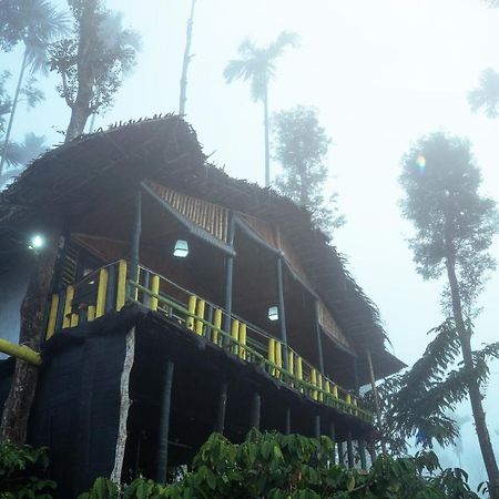 The Mountain Tree Home Ваянад Екстер'єр фото