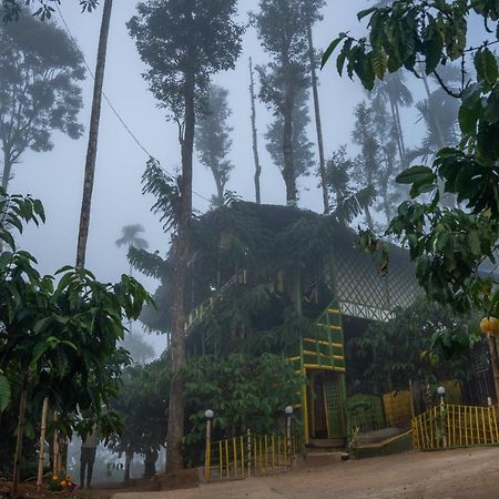 The Mountain Tree Home Ваянад Екстер'єр фото