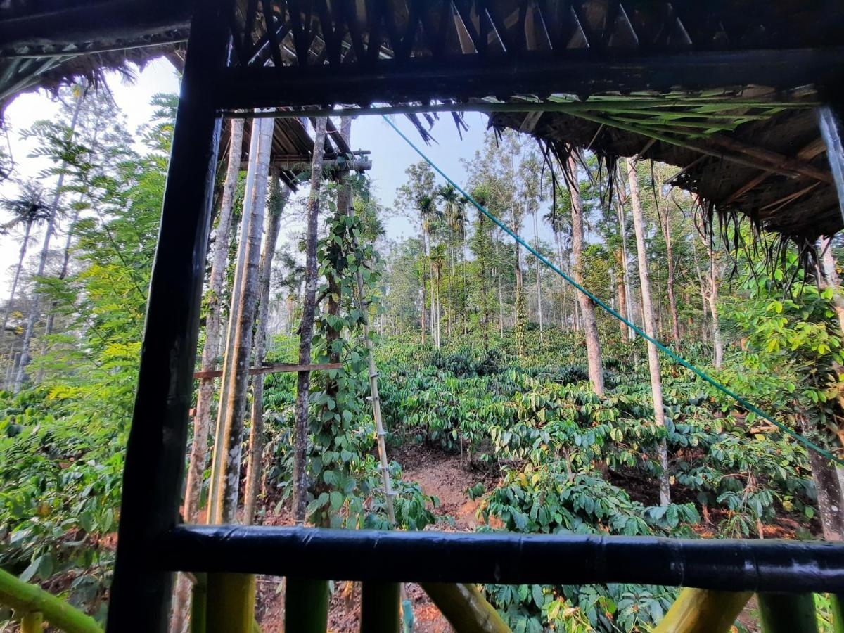 The Mountain Tree Home Ваянад Екстер'єр фото