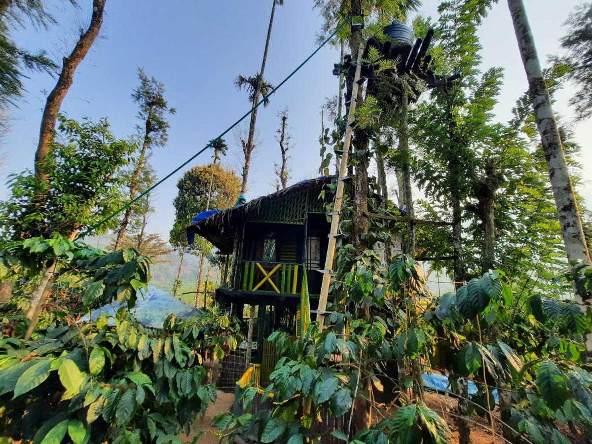 The Mountain Tree Home Ваянад Екстер'єр фото