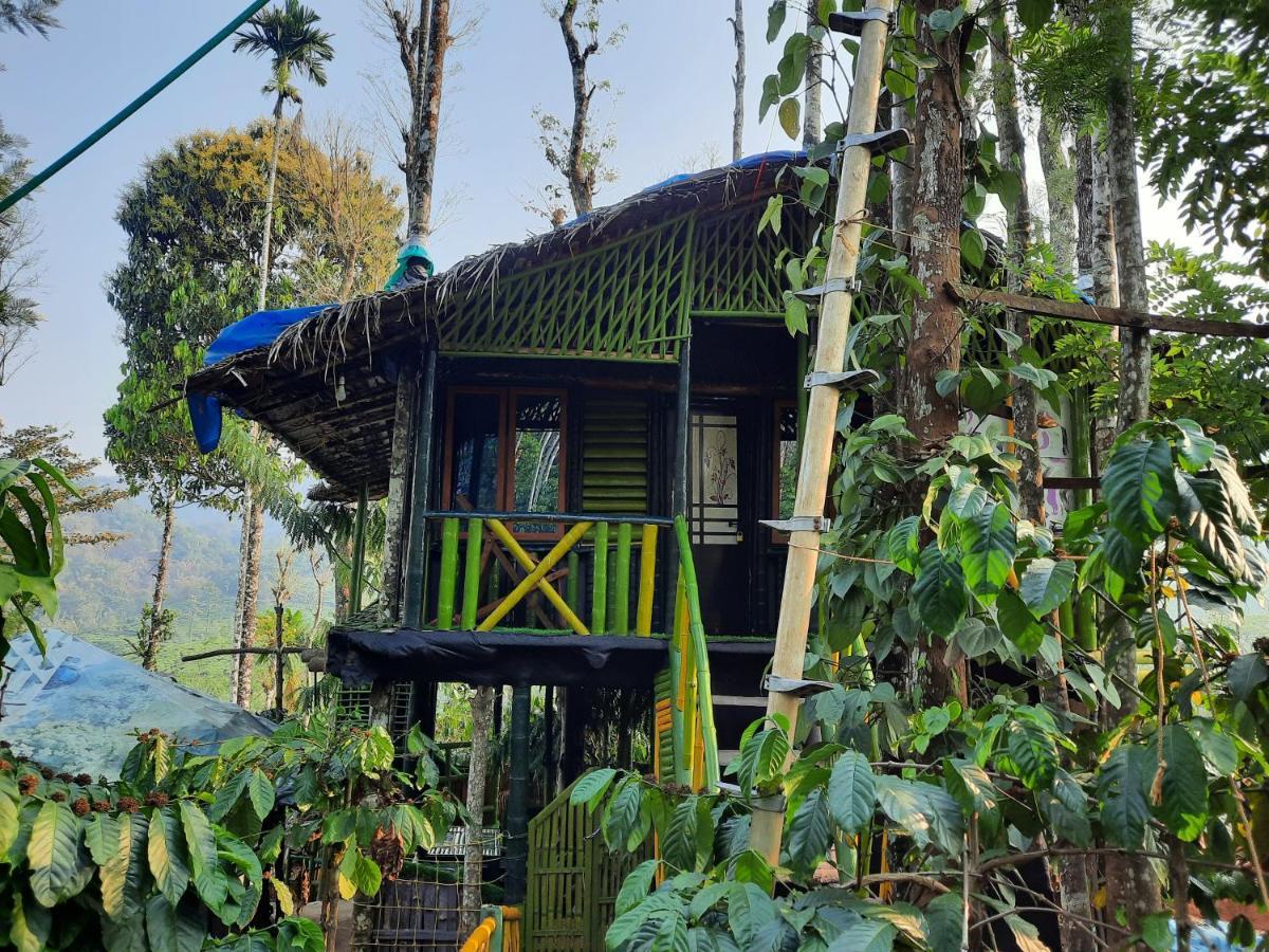 The Mountain Tree Home Ваянад Екстер'єр фото