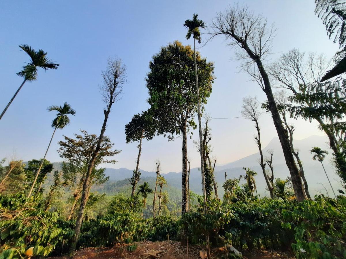 The Mountain Tree Home Ваянад Екстер'єр фото