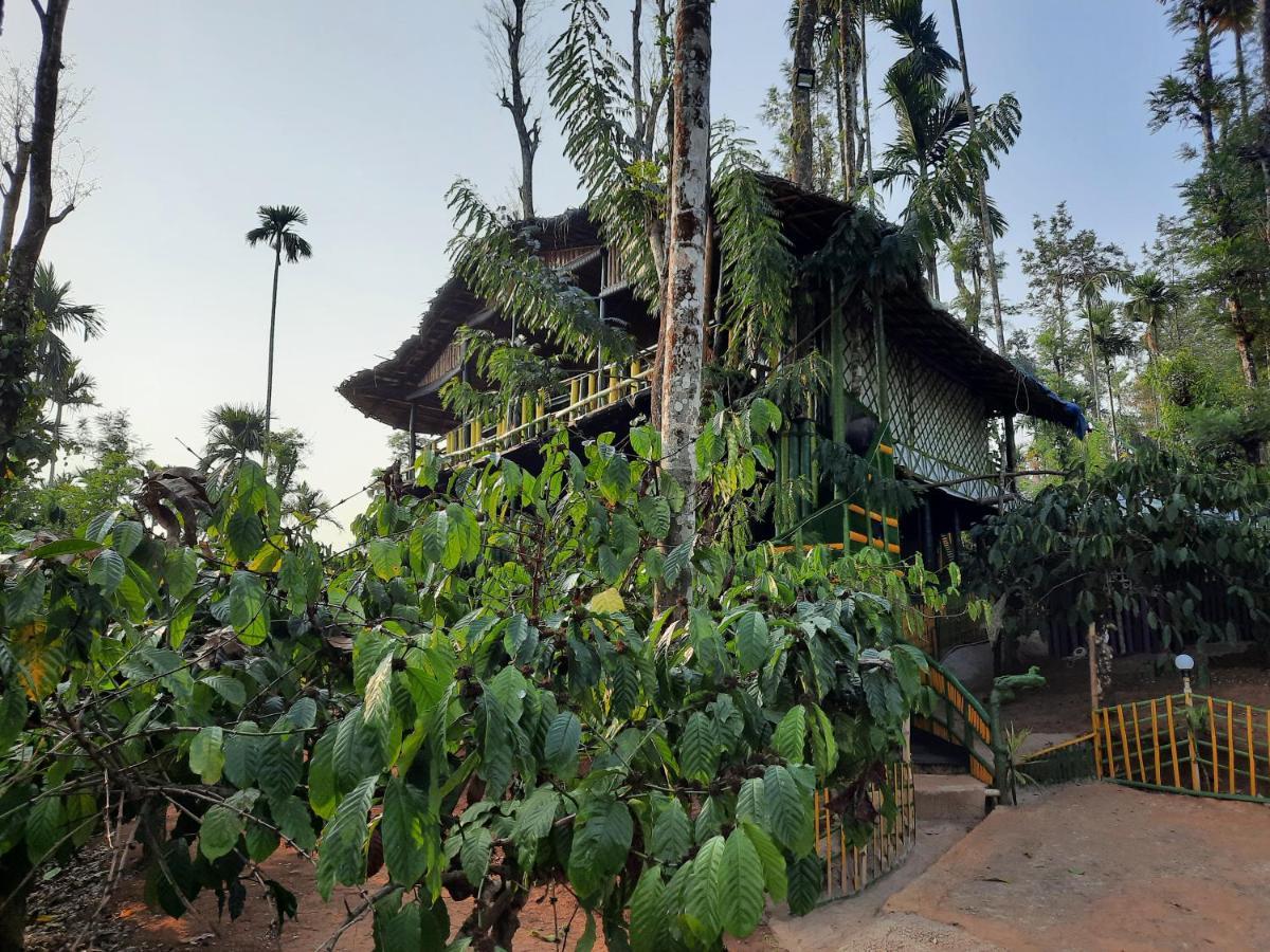 The Mountain Tree Home Ваянад Екстер'єр фото