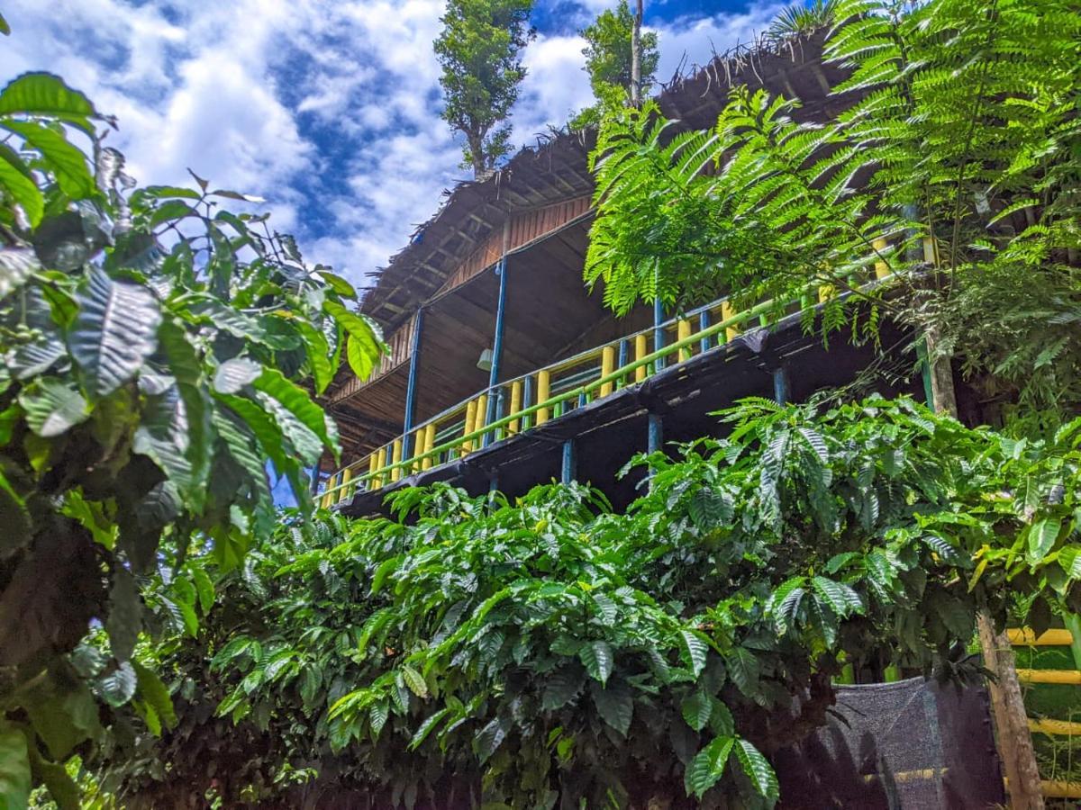 The Mountain Tree Home Ваянад Екстер'єр фото